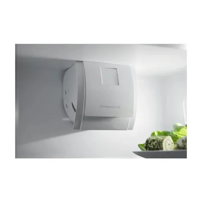 Frigorifer Electrolux Ent6Te18S - 4