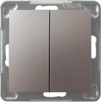 Ndërprerës dysh Ospel Impresja Titanium, 250 V, titan