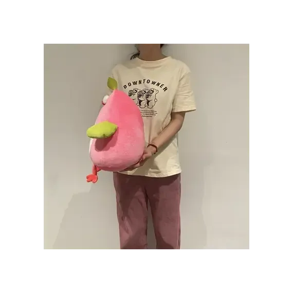 Pamja 6