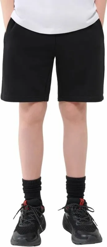 Pamja 1