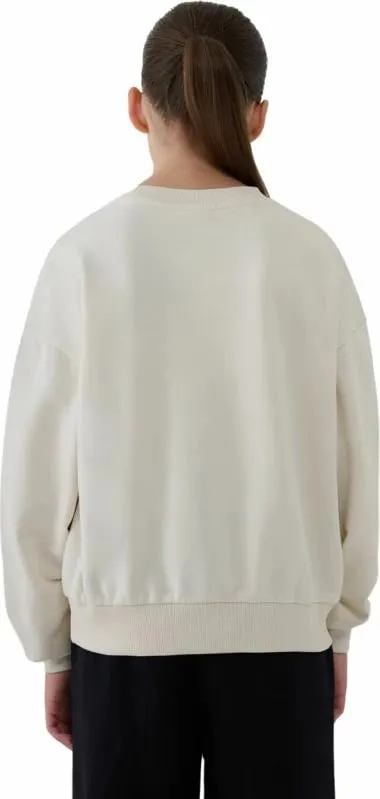 Pamja 1