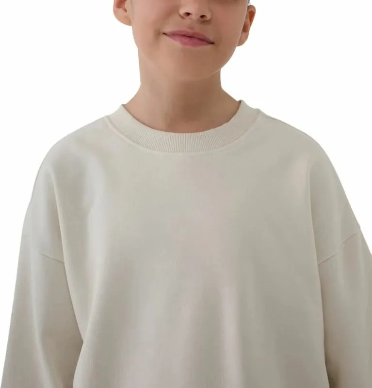 Pamja 3