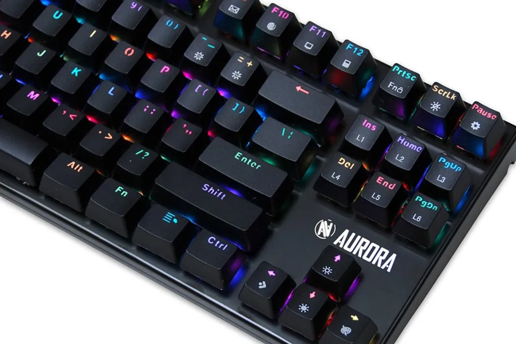 Pamja 21