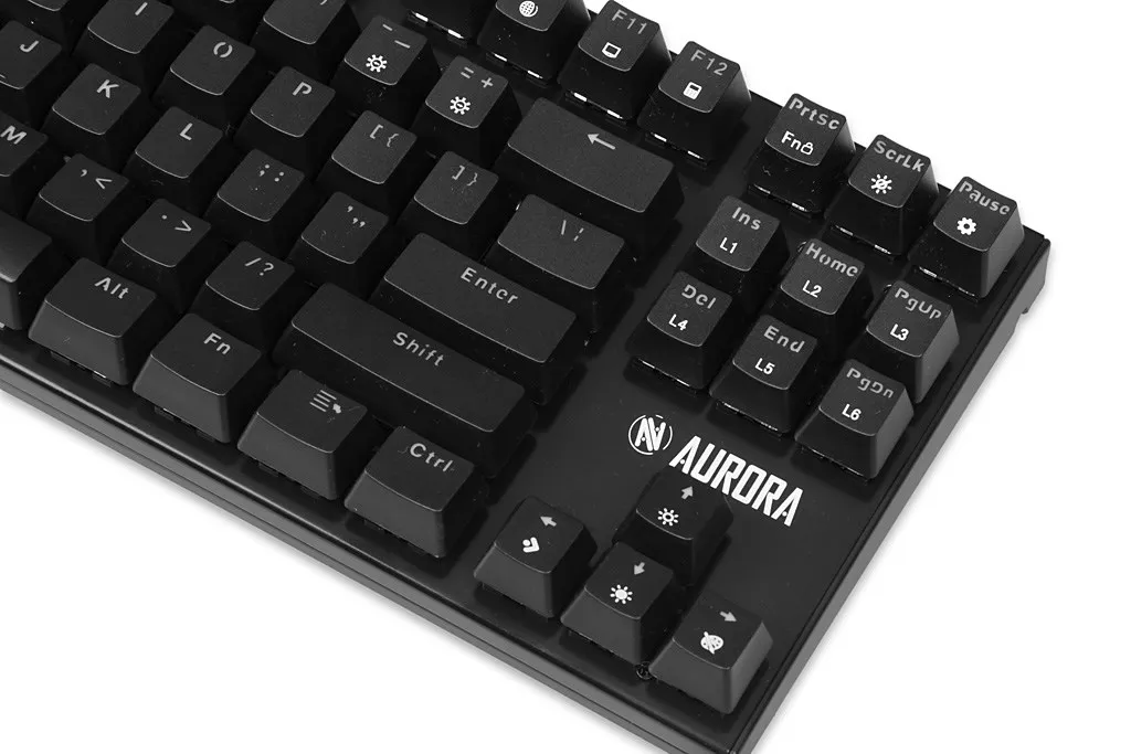Pamja 41