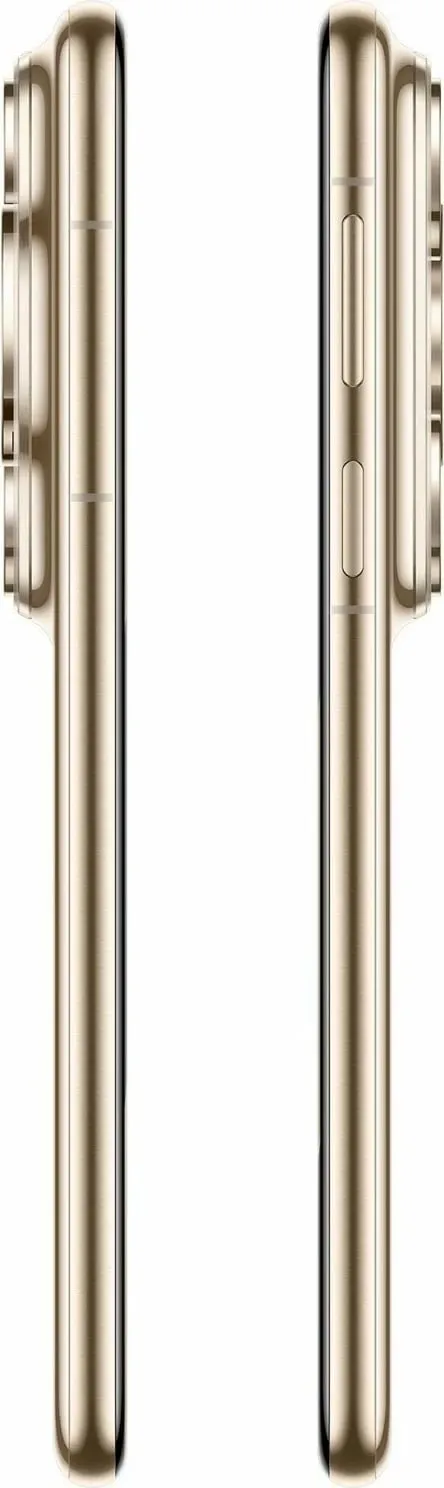 Pamja 9