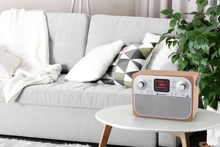 Radio GoGEN DAB 700, e argjendtë - 5