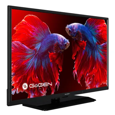 Televizor GoGEN Tv TVF 32P559T - 2