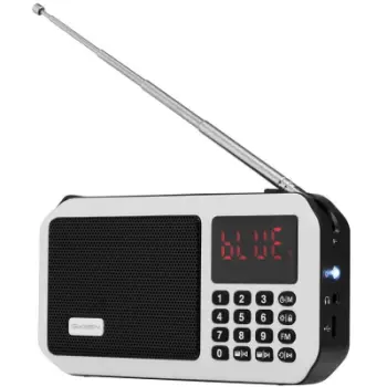 Radio Portative me Bluetooth, Micro SD, Lcd dhe FM Digjital GOGEN GOGFMP125BTW