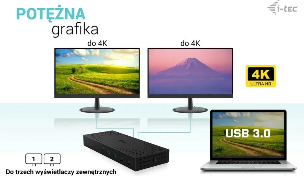 Pamja 8