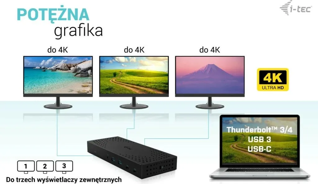 Pamja 9