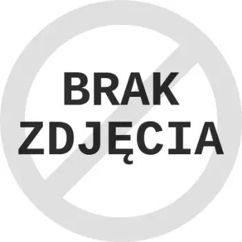 Medalje e artë Viktoria Sport, medalje çeliku