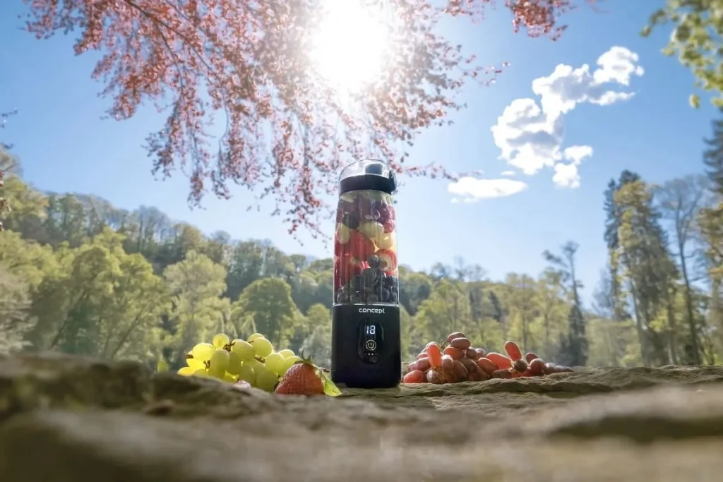 Blender pa kabllo CONCEPT SM4001, i zi - 11