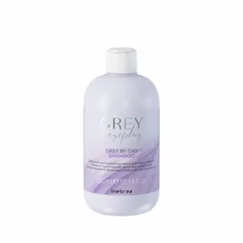 Shampo për flokë Inebrya Grey Losophy, 1000 ml