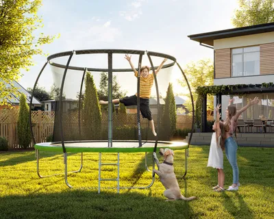 Trampolinë me rrjetë të brendshme Zipro Jump Pro, 496 cm, e zezë - 2