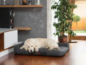 Shtrat për qen Hobbydog Bed Best, madhësia XL, material eco-linen, i zi