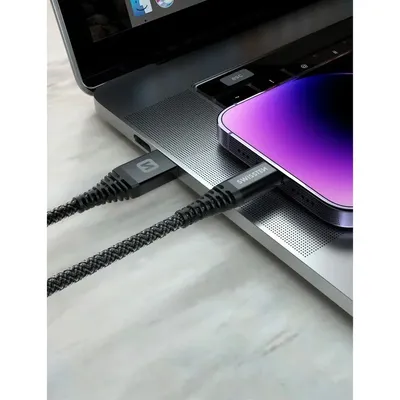 Pamja 4