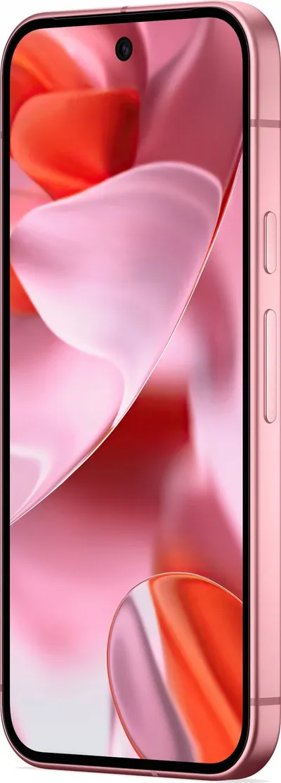 Pamja 5