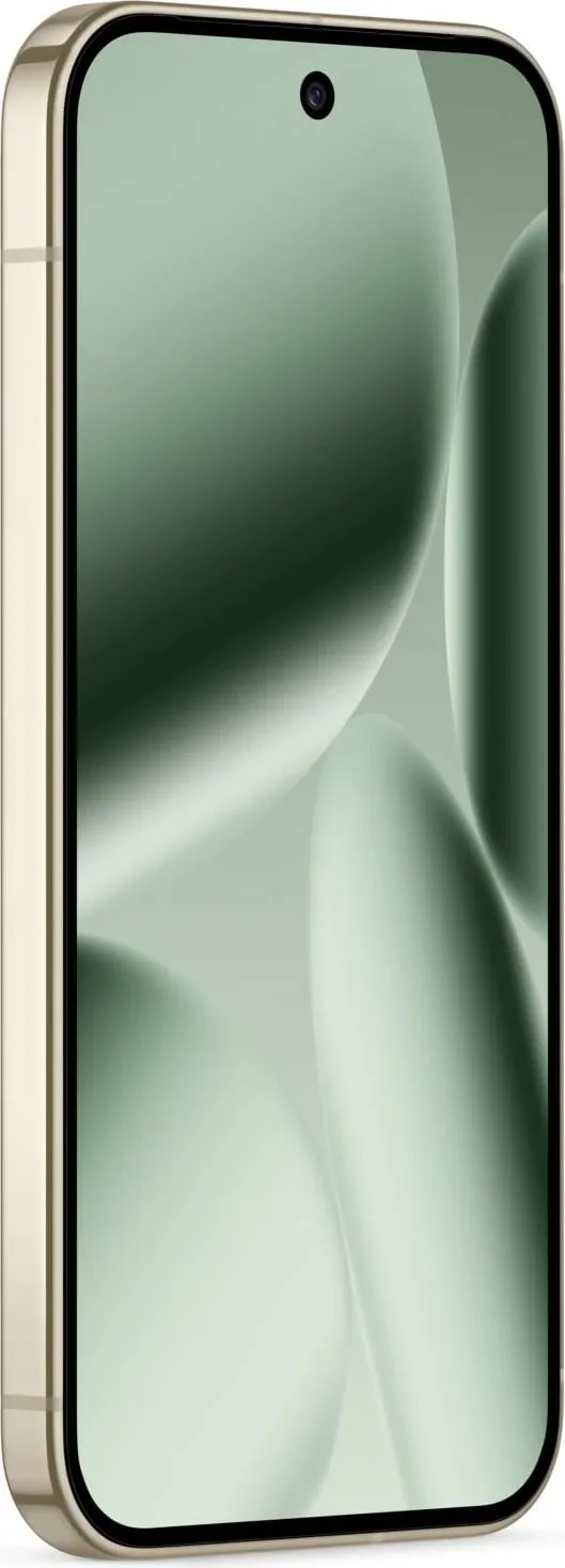 Pamja 8