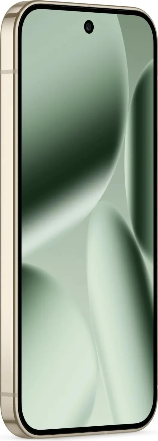 Pamja 5
