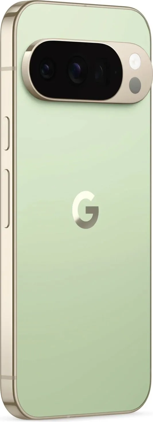 Pamja 8