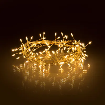 Drita dekorative Retlux RXL 275, Nano 2.4 + 5 m, 100 LED, e bardhë e ngrohtë - 1