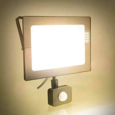 Reflektor me sensor Retlux RSL 248, LED 4000K, 50W - 4