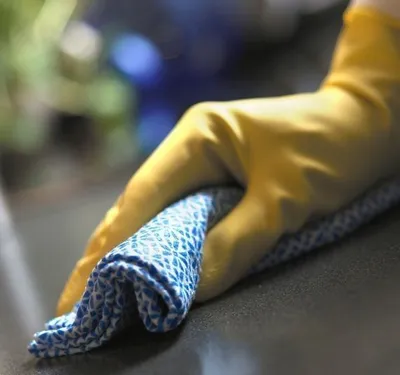 Pamja 1