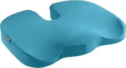 Pamja 1