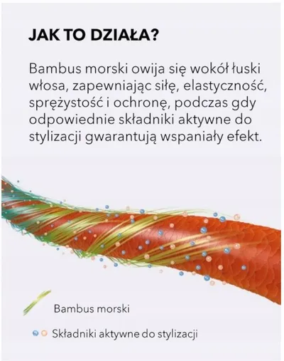 Pamja 2