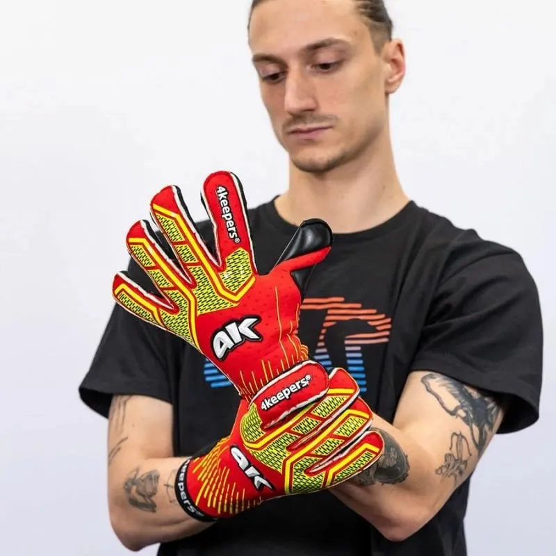 Pamja 4