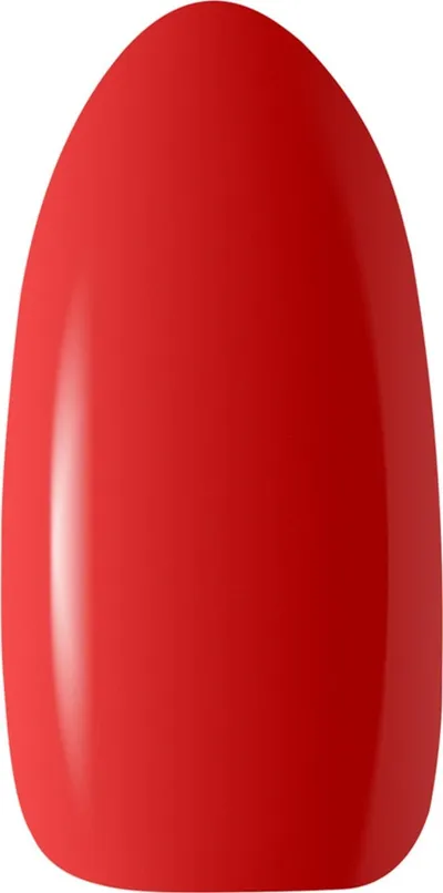 Pamja 2