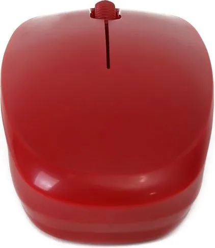 Pamja 4