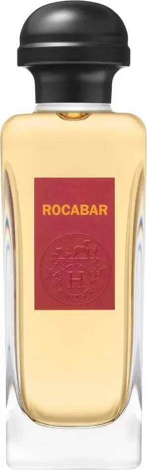 Eau de Toilette për meshkuj Hermes Rocabar 100ml - 1