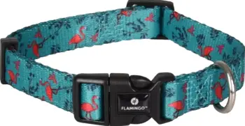 Rrip për qen Flamingo
