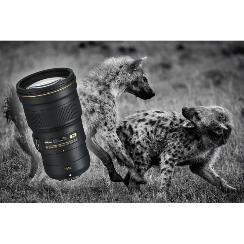 NIKKOR AF-S 300mm f/4E PF ED VR - 9
