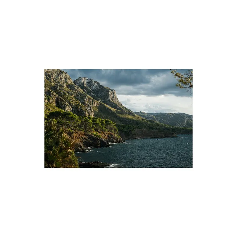 Pamja 7