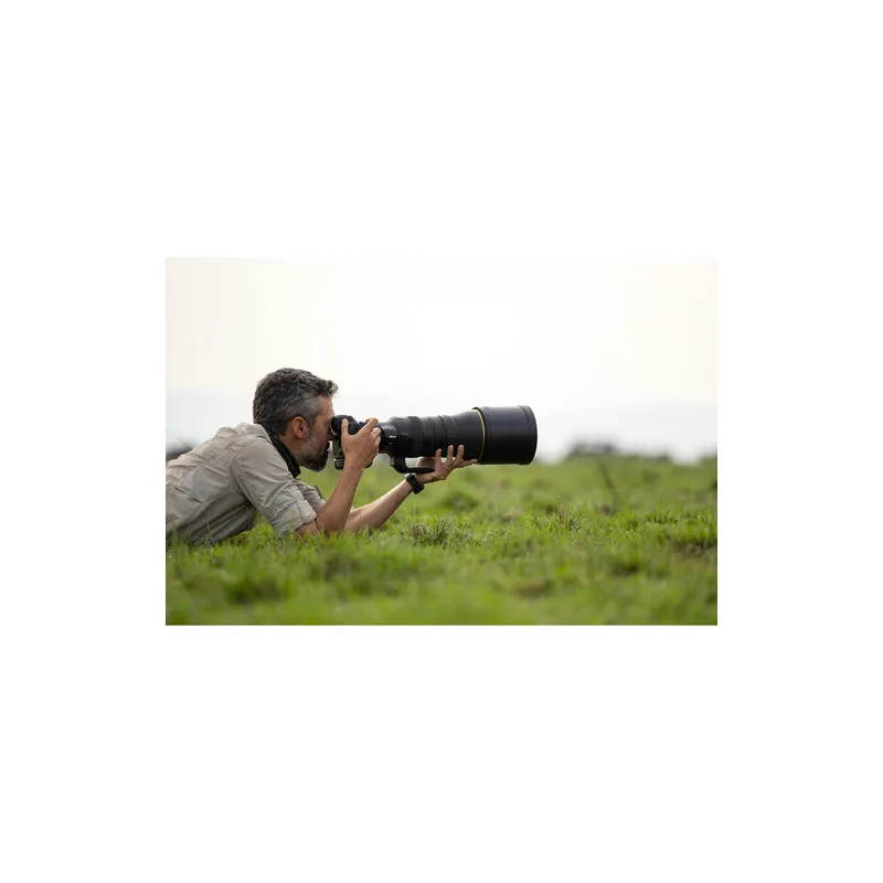 NIKKOR Z 400mm f/2.8 TC VR S - 14