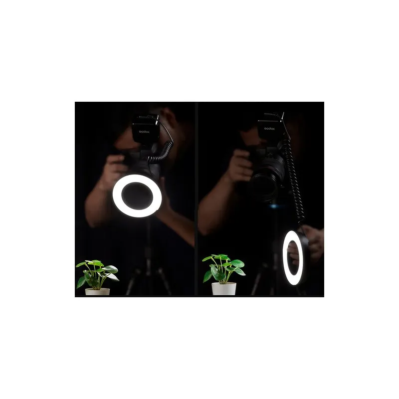 Pamja 6