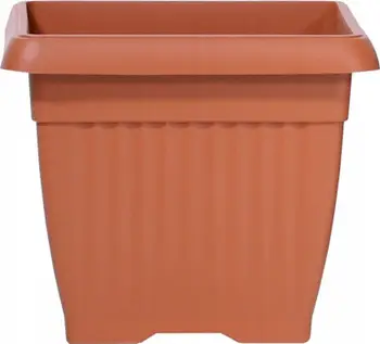 Vazo katrore Prosperplast Terra DKWT37, 37x37x30 cm, terrakote