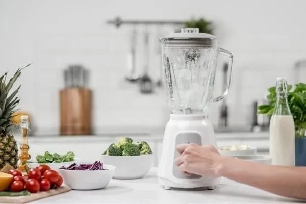 Blender Zelmer ZSB4707, 1.5L, 500W, bardhë - 4