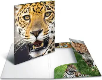 Dosje elastike Herma, A4 PP – Leopard