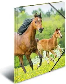 Dosje dokumentesh Herma Folder 7140, A4