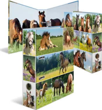 Dosje unazë Herma Folder Horse Meadow, A4, me unaza D
