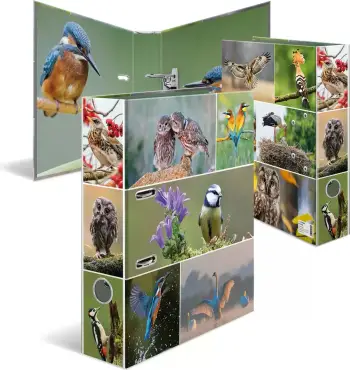 Dosje unazore Herma Native Birds, A4, mekanizëm D ring, shumëngjyrëshe