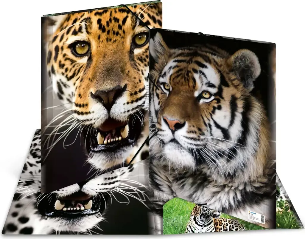 Folder dokumentesh Herma Leopard 7142, A3, me lastik, shumëngjyrësh - 1