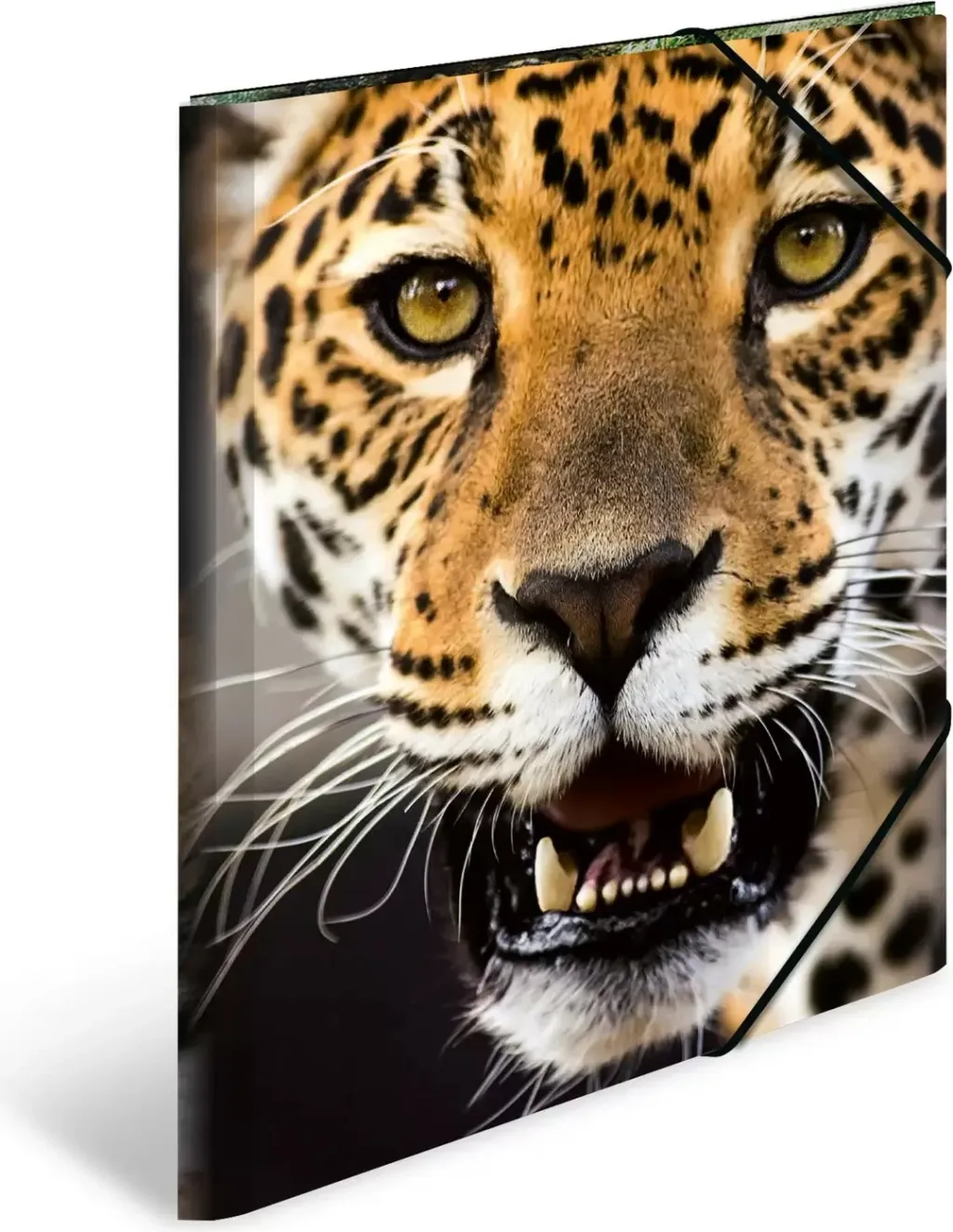 Folder dokumentesh Herma Leopard 7142, A3, me lastik, shumëngjyrësh - 2