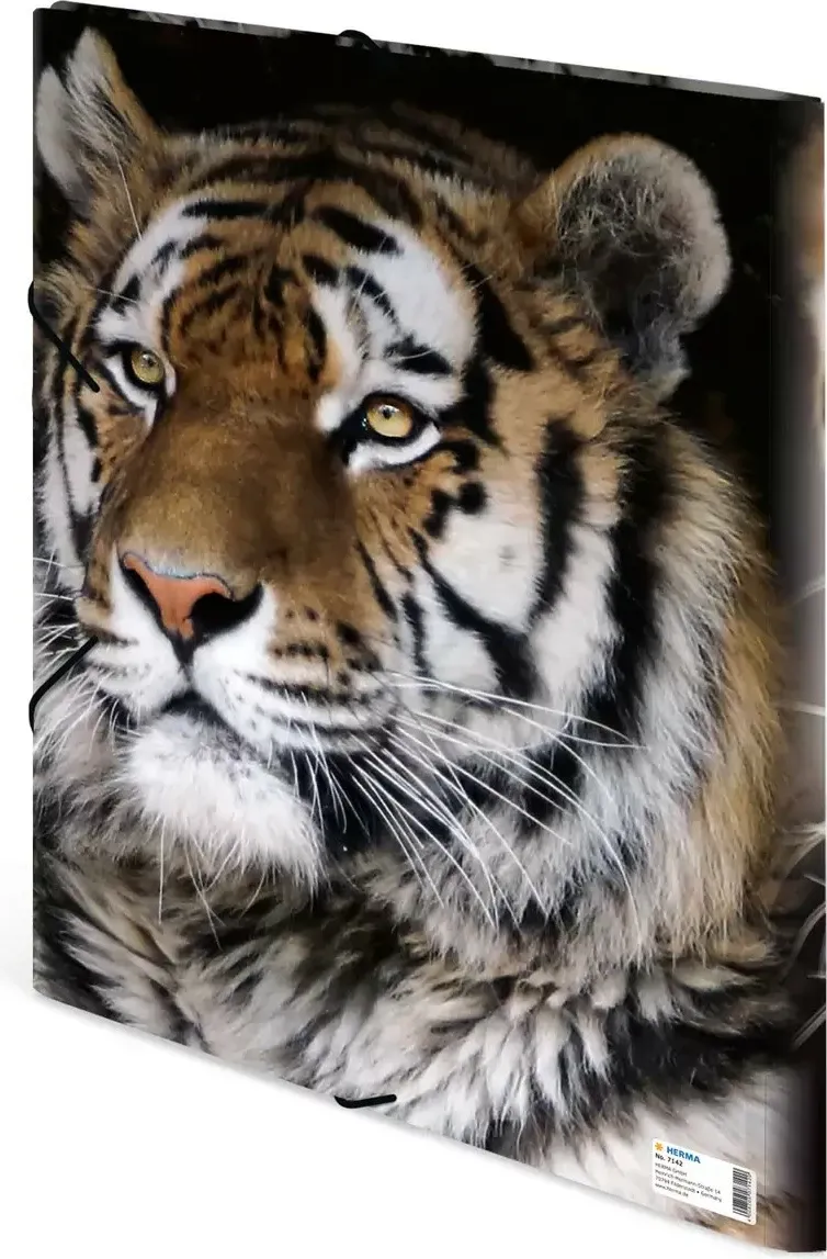 Folder dokumentesh Herma Leopard 7142, A3, me lastik, shumëngjyrësh - 3