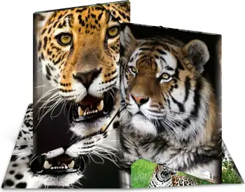 Folder dokumentesh Herma Leopard 7142, A3, me lastik, shumëngjyrësh
