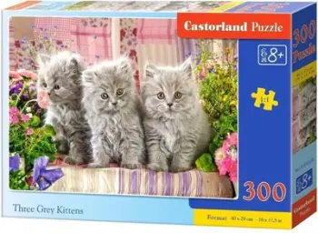 Puzzle Castorland, 300 elemente