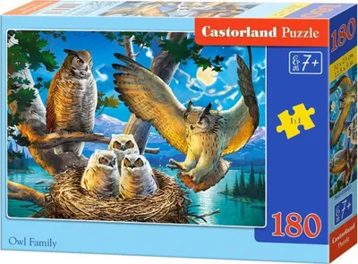 Puzzle Castorland Owl Family, 180 elemente - 1